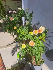 Apartamento para trabalhadores