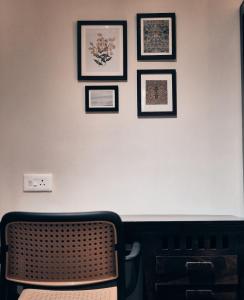 The Fern Room By Fenni N Ferns