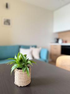 Legnicka Residence 38