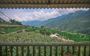 Lagom Home - Bamboo Forest