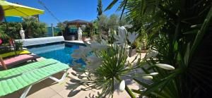 L'Hermine Occitane B&B