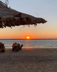 Pied dans leau avec 4 piscines -BERALMAR