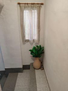 Casita de campo en Marxuquera Gandía