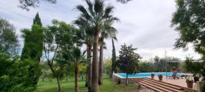 Finca Son Miranda -LA Organic