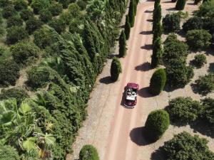 Finca Son Miranda -LA Organic