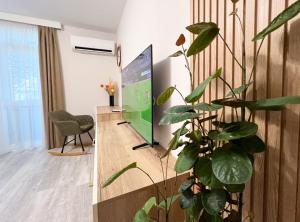 Old City Home For Your Memories