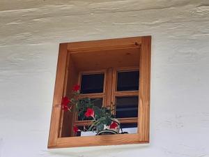 Apartments Pajek & Pajčevina on the Hayrack