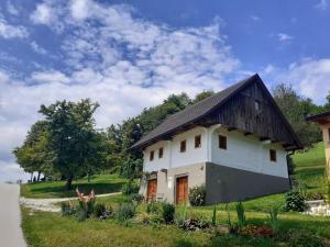 Apartments Pajek & Pajčevina on the Hayrack 