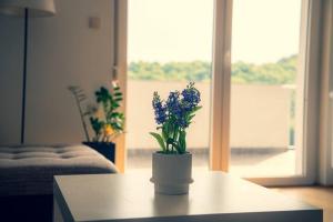 Apartment9B with amazing view