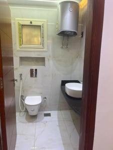 شقه في الشيخ زايد