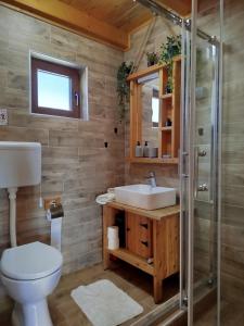 Vila Planinski san 1