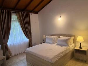 Kandy GreenLeafy Villa
