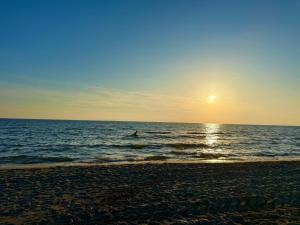 Perfect location apartment