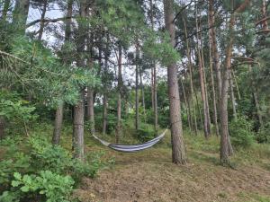 Pod Sosnami- Swornegacie