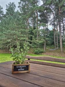 Pod Sosnami- Swornegacie