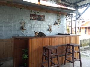 Homestay Edelyne Belitung