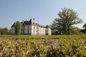 Maisons de vacances Gite Fauquette : photos des chambres