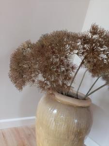 Mediterranean apartment with home theater