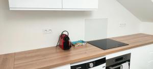 Appartements Blanche-Neige CLIM Ile Verte proche Hopital : photos des chambres