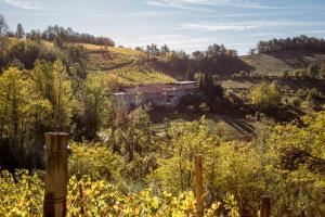 Borgo Isolabella - Wine & Vermouth Resort