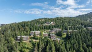 Appartements V DU BACHAT AROLLES B02 Appt montagne 6 pers : photos des chambres