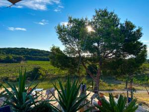 B&B / Chambres d'hotes Chateau le Bouis : photos des chambres