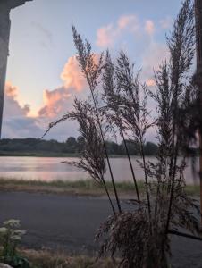 Maisons de vacances Maison de marinier les pieds dans l-eau face a la Loire : photos des chambres