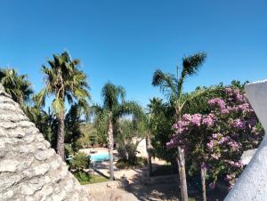 AllOmbra del Gelso, trullo con piscina