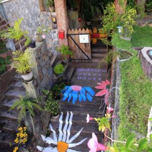 D lion villa
