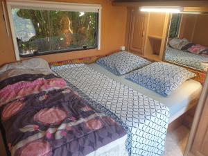 Campings L'Ermitage au sein d'un jardin foret pres de l'ocean : photos des chambres