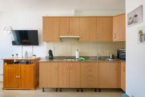 Bella Vista - Cactus