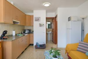 Bella Vista - Cactus