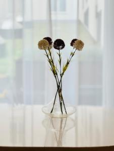 2 bedroom premium home in the heart of Tallinn