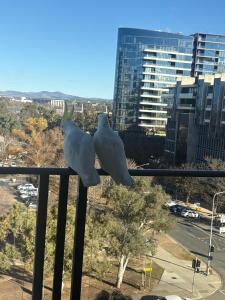 The Metropolitan Apartments