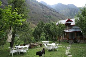 Boho Grove Cafe & Stay, Tirthan Valley