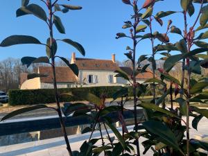 Villas Le Verger Des Pierres Blanches,11 chambres,11 wc, 8 sdbs,pool chauffee 11 m 35p : photos des chambres