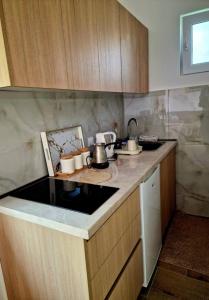 Apartman Vesna