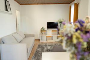 Geres Andorinhas House