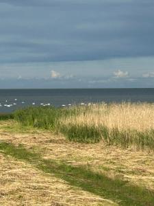 Angervaksa LoodusSpa