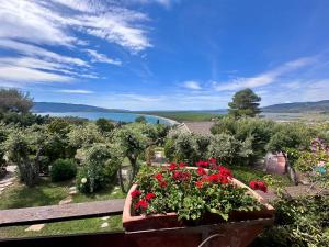 Casa Oliva Ansedonia