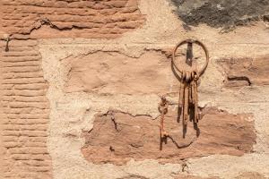 Kilmore Paws and Relax