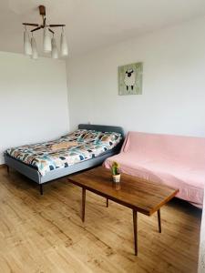 Kaunas View apartment