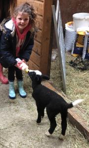 Yellow Cottage up to10 guests