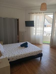Appartements Appartement style bourgeois a Chambery : photos des chambres