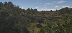 Maisons de vacances Au coeur de l-oliveraie : photos des chambres