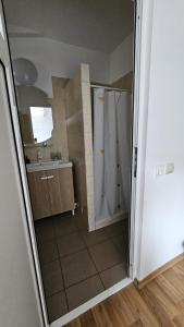 Apartamente elegante in regim hotelier