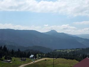 Guest House Tavkalva