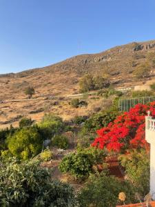 CASA RURAL en Santa Cruz