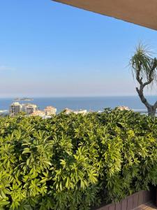 Duplex 5 minutes from the beach