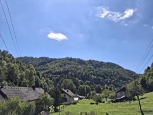 Hiša pod Veliko planino